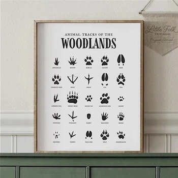 Woodland Piese De Animale Poster Canvas Printuri De Arta Animale De Urmărire Urme De Panza Pictura Pe Perete Poza Rustic, Natura Decor