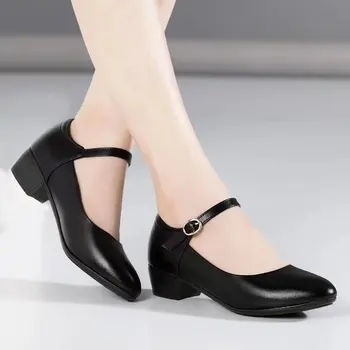 Toamna Epocă Mary James Pantofi pentru Femei 2023 Noi Ascuțite Toe Tocuri Joase Pompe Confortabil Rochie de Femei Pantofi Toc Pătrat PU